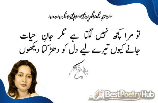 Timeless Essence of Urdu Literature With Parveen Shakir Best Poetry