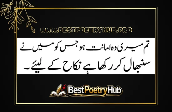 Best Romantic Poetry In Urdu Text For Girlfriend 2026