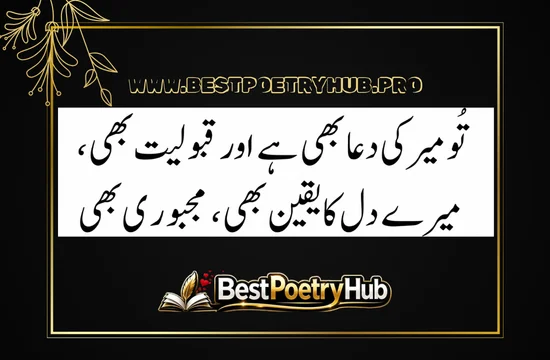 Best Romantic Poetry In Urdu Text For Girlfriend 2026
