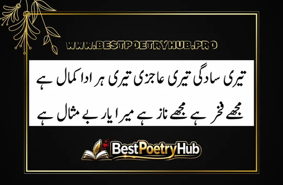Best Romantic Poetry In Urdu Text For Girlfriend 2026