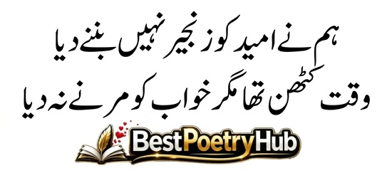 Killer Attitude Poetry In Urdu 2 Lines Text 2026