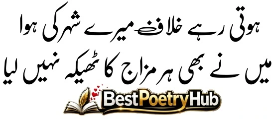 Killer Attitude Poetry In Urdu 2 Lines Text 2026