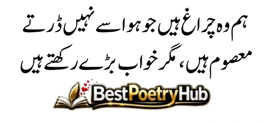 Killer Attitude Poetry In Urdu 2 Lines Text 2026