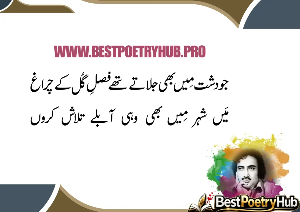 Mohsin Naqvi Poetry In Urdu Text Copy Paste [BestPoetryHub]