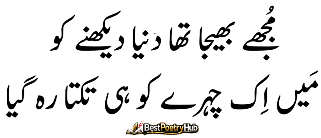 Simple Words About Love and Feelings in Jaun Elia Best Poetry