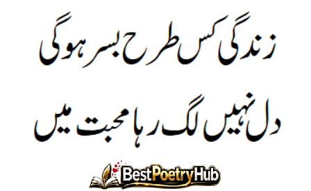 Simple Words About Love and Feelings in Jaun Elia Best Poetry